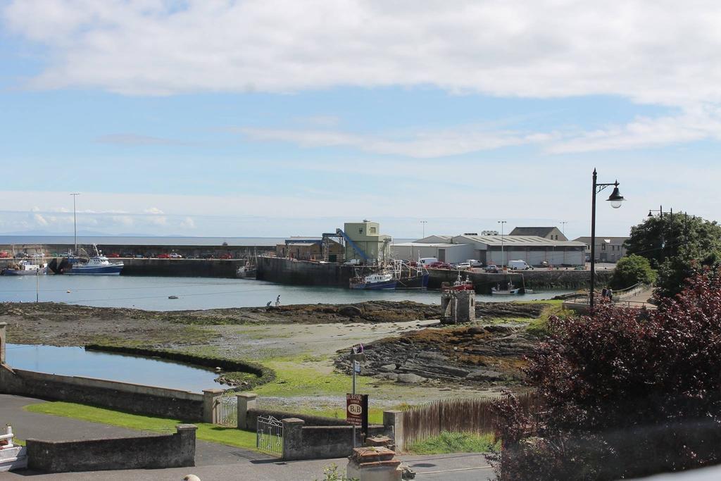 Burford Lodge Guest House Ardglass Kültér fotó